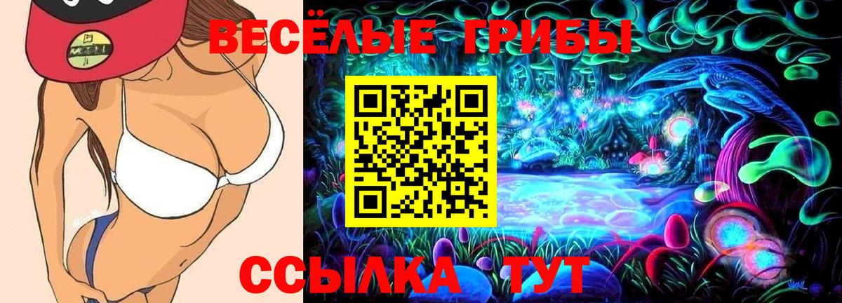 Шали  Псилоцибиновые грибы ЛСД  наркотики  Псилоцибиновые грибы Psilocybe  Вход с VPN 